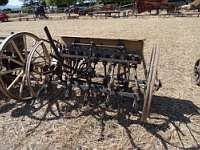 Semeuse ancienne 1 (ph. F. Mrugala, St Jean de Touslas)(3)